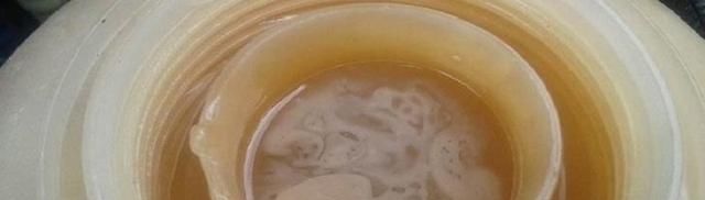 機油會被乳化并出現乳白色，伴有泡沫